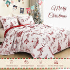 Exclusivo Mezcla Reversible Christmas Quilts Queen Size, Red Bedspread Lightweight Coverlet Winter Quilt Bedding Set with Printed Trees Reindeer Wreaths Pattern (1 Quilt, 2 Pillow Shams)
