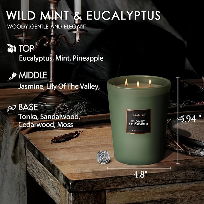 HomeLights Scented Candles - Large Jar Aromatherapy, Natural Soy Wax, 130 Hour Long Burning, Wild Mint & Eucalyptus