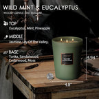 HomeLights Scented Candles - Large Jar Aromatherapy, Natural Soy Wax, 130 Hour Long Burning, Wild Mint & Eucalyptus