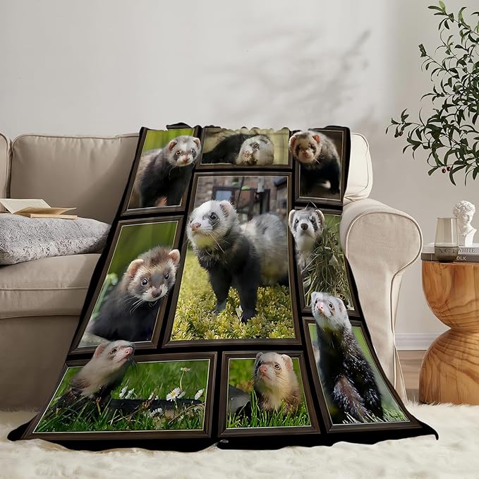Cute Ferret Blanket for Women Girls Boys Men Funny Animal Ferrets Throw Blanket Plush Cozy Flannel Fleece Ultra Soft Fuzzy Blankets Gifts 50"X40"
