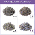 Treela 4 Pound Dried Lavender Bulk Dry Lavender Buds Fragrant Flower Petals for DIY Wedding Gift Crafts Fragrance Sachets