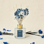 Reed Diffuser Set - 3.38 fl oz Vanilla Premium Scented Oil with Preserved Baby's Breath & Cotton 6 Sticks | Long-Lasting Aromatherapy for Home, Bedroom, Bathroom, Office Home Decor