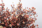 JAKY-Global Babys Breath Silk Artificial Flowers 6 Bundle European Fake Flowers Decor Wedding Party Fall Stems Decoration Bouquets DIY Home Garden,Farmhouse,Living Room Decor (Beige Brown-6pcs)