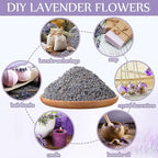 Treela 5 Pound Dried Lavender Bulk Dry Lavender Buds Fragrant Flower Petals for DIY Wedding Gift Crafts Fragrance Sachets