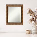 Amanti Art Bronze Wall Mirror 25x21 Manhattan Bronze Rectangle Bathroom Mirror for Wall Decor Living Room, Small Traditional Wood Frame, Hangs Horizonally and Vertically, Bathroom Decor, Beveled Edge