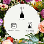 Apotheke Luxury Scented Reed Diffuser for Home, Sea Salt Grapefruit - 6.7 Fl Oz Essential Oil Aromatherapy - 10 Rattan Scent Sticks Room Diffuser - Long-Lasting Fragrance for Bedroom, Home, Bathroom