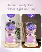 HVY Preserved Flower Bouquet Gift for Her,Forever Fresh Flowers for Delivery Prime Preserved Roses in Glass with LED Light Mothers Day Birthday Gifts for Mom,Wife,Grandma, Purple Rose