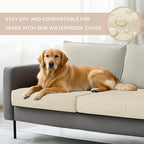 Codi Replacement Couch Cushions 2 Sets, Upholstery Foam with Covers for Sofa Chair Cushion Outdoor Seat - 24 × 24 × 4 Inch, High Density Foam,Beige