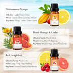 JCLOUD Summer Fragrance Oils Set | Hotel Diffuser Oil & Home Luxury Scents - Gift Set of 6 Summer Essential Oil for Diffusers for Home, Fresh Citrus, Tropical Fruity & Clean Aquatic, 6x10mL