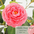 Bellacat 4ft Artificial Camellia Tree with Silk Pink Flowers, 48in Faux Camellia Plant with Lifelike Trunk, Fake Flower Tree Potted Front Door Plants for Porch Patio Deck Living Room Decor, 2Pack