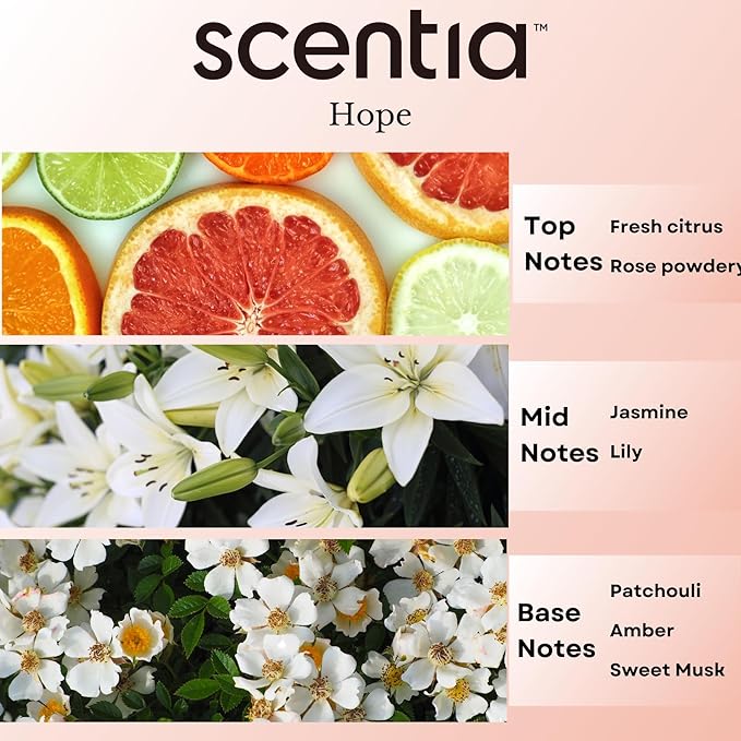 Coco-Chance-Inspired Diffuser Oil Refill - Scentia Hope Dupe Fragrance Oil Blend, Home Luxury Scents, Essential Oil Set for Aromatherapy Diﬀusers Candle Making | 20 ml, 0.67 Fl Oz, Thanksgiving Gift