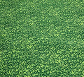 KIDCARPET.COM Grassy Green Field Rug | Active Play Carpet for Preschool Playroom Game Activity Area, 10' x 12'