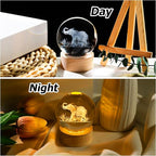 Elephants Gifts for Women Men 3D Elephant Crystal Ball with Wooden Light Base Glass Elephant Figurines Decor for Elephants Lovers on Christmas Valentine's Day Birthday (Diameter 2.36 inches)