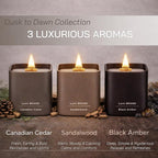 Set of 3 Premium Scented Soy Candles Gift Set | Dusk to Dawn Collection - Canadian Cedar, Black Amber & Sandalwood | Crackling Wood Wick | Luxury Candles for Relaxation, Home Décor, Gifts | 9.8oz Each