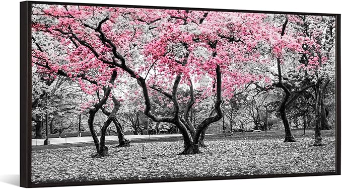 iKNOW FOTO 20x40 Cherry Blossom Trees in Black & White with Pink NYC Park Picture Stretched Canvas Art with Black Floater Frame Nature Landscape Wall Decor Ready to Hang