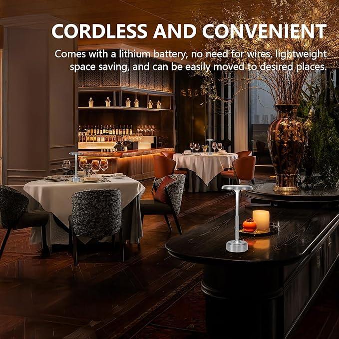 Rechargeable Cordless LED Table Lamps Touch Sensor Light, 3-Levels Portable Dimming Wireless Battery Operated Lamp，Nightstand Lamp/Night Light/Restaurant Table/Outdoor/Coffee/Bar (Silver)