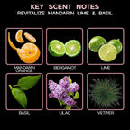 LOVSPA Reed Diffuser Set, Mandarin Lime & Basil Scented Oil Diffuser with Sticks, Home Fragrance Accessories for Bathroom Shelf Decor, Aroma Diffusers for Home or Office Desk, USA Made