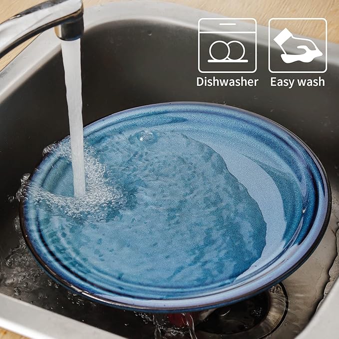 HASENSE Ceramic Dinner Plates Set of 2,10 Inch Large Porcelain Pasta and Salad Plates,Blue Stoneware Plate Set Microwave,Oven,and Dishwasher Safe