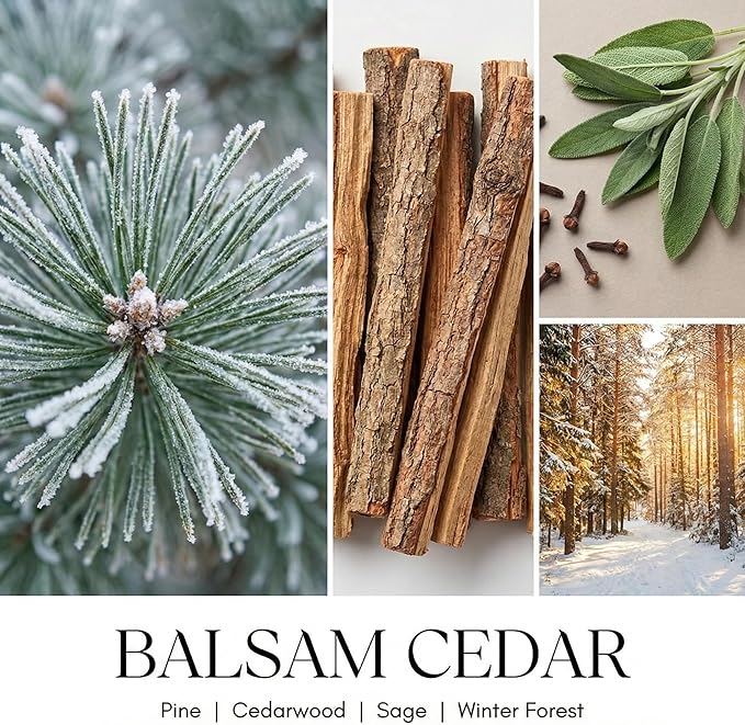 HomeLights Balsam Cedarwood Scented Candles | 18oz Soy Candles Industrial Chic 4-Wick Large Candle Jars | Ideal Candle Gifts for Events, Home Decor Stress, Relief & Relaxation