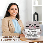 Teacher Appreciation Gifts for Women Cat Lover,Positive Crochet Animal for Teachers Mentors Coachs from Student, Emotional Crochet Support Cat