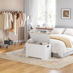 DINZI LVJ Storage Chest, 31.5”Wooden Toy Box with 2 Safety Hinges, Entryway Storage Bench with Flip-Top, Sturdy Storage Trunk for Living Room, Bedroom, Easy Assembly, White