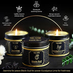 Candle Gift Set of 3 Black Oud|Jasmine|Eucalyptus Lime Highly Scented Soy Candels Natural Non Toxic Velas Aromáticas Favors for Women Coworkers Friends Guests Also for Fall Diwali Christmas Holidays