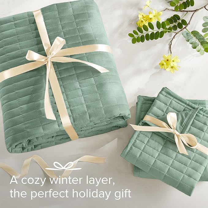 Comfort Spaces Kienna Quilt Set- Double Sided Stitching Design Summer Blanket, Lightweight, Soft, All Season Bedding Layer, Matching Sham, Sage Green, Coverlet King (104"x90") 3 Piece