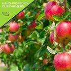 NUT CRAVINGS - Dried Apple Rings Slices, No Sugar Added - Chewy Soft Texture (80oz, 5 LB) Tu Bishvat Favorite - Sweet Healthy Snack, Vegan, Kosher, Resealable Bag