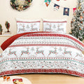 Exclusivo Mezcla Reversible Christmas Quilts Queen Size, Red Bedspread Lightweight Coverlet Winter Quilt Bedding Set with Printed Striped Flowers Reindeer Pattern (1 Quilt, 2 Pillow Shams)