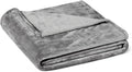 Amazon Basics Soft Fleece Throw Blanket, Lightweight Cozy Blanket for Couch & Sofa, 50 x 60 Inches, Gray