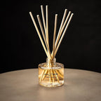 Luxury Reed Diffuser for Home & Bathroom – Ash & Iron Fresh Horizon, Crisp Alpine Air & Cactus Blossom, 125 mL, 3–5 Month Duration