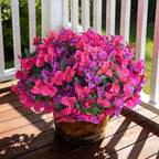 Faux Bougainvillea Artificial Flowers for Outdoors Spring Decor, UV Resistant Outdoor Fake Plants 4 Bundles Realistic Silk Bougainvillea Flowers for Outdoor Porch Patio Window Planter Garden Home