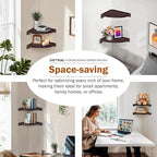 Demigo Floating Round Corner Shelves for Wall 2pcs, Acacia Wood Wall-Mounted Storage Shelves for Home Decor, Space Saving Displays for Living Room, Kitchen, Office, and Bedroom (Dark Brown)