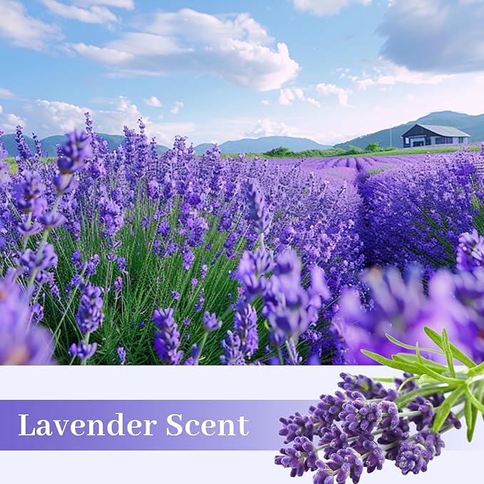 SCENTORINI Shelf Liners for Kitchen Cabinets Non-Adhesive, Lavender Scented Drawer Liners, 14.3 x 19.6 Inch 6 Sheets, for Dresser Bedroom Shelf Closet