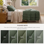 Bedsure Green Quilt Queen Size – Ultra Soft Cloud Lightweight Bedspread Coverlet Set with 2 Pillow Shams, Breathable & Cozy Comforter Set for All Season Use, 3 Piece (90x96 Inches)