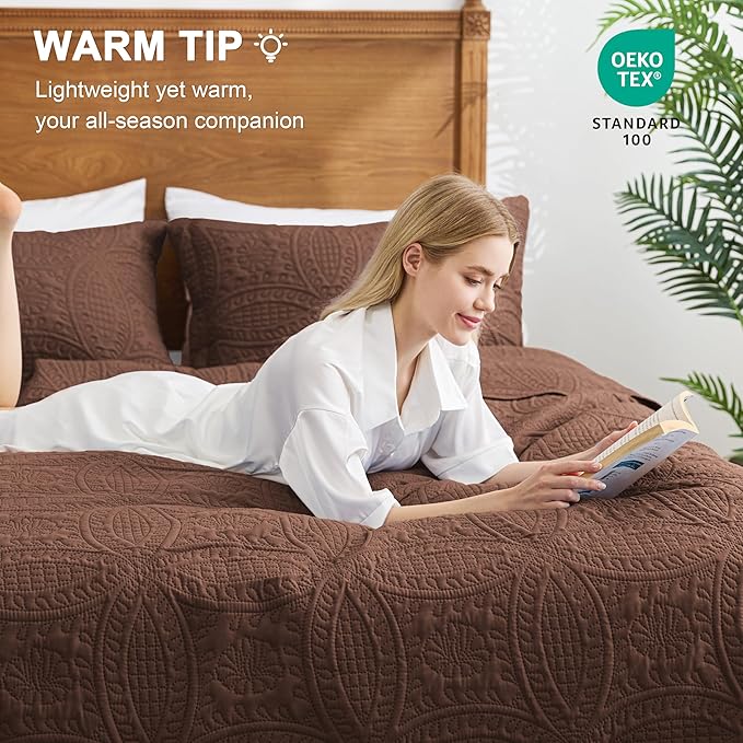 Love's cabin Quilts for Queen Bed Brown Bedspreads Bedding Set - Lightweight Bedspread Comforter - Coin Pattern Bedding Coverlet for All Season - 3 Pieces (1 Quilt, 2 Pillow Shams)