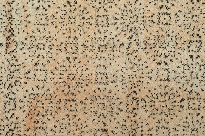 Area Rug 10x14 Kilim Rug Bronze & Black Cotton Dhurrie Oriental Thick 0.19 inches Stone Easy Washable Rug Hand Wash Cotton Carpet Flatweave Rug Indoor Outdoor Rugs for Living Room, Bedroom