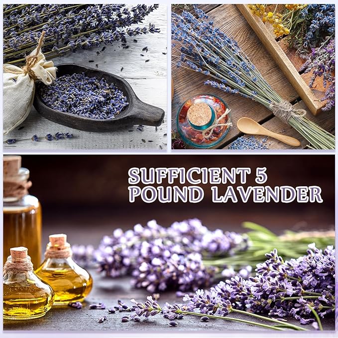 Treela 5 Pound Dried Lavender Bulk Dry Lavender Buds Fragrant Flower Petals for DIY Wedding Gift Crafts Fragrance Sachets
