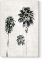 Renditions Gallery Canvas Nature Wall Art Modern Paintings & Prints Decor Vintage Palm Trees Sketch Black & White Abstract Wall Hanging Artwork for Bedroom Office Kitchen - 24"x36" LT06