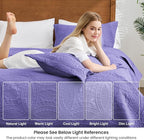 Love's cabin King Size Quilt Bedding Set Deep Purple Bedspreads - Bed Summer Lightweight Bedspread Comforter - Coin Pattern Bedding Coverlet for All Season - 3 Pieces (1 Quilt, 2 Pillow Shams)