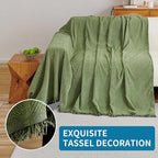 HAOMAIJIA Chenille Couch Cover Sofa Covers for 1 Cushion Couch Washable sectional Couch Covers for Dogs pet Furniture Protector Couch Cover Blanket for Living Room (sage Green, 71"x91")