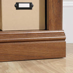 Sauder 2 Tier Book Shelf Wooden Bookcase Multipurpose Bookshelf for Home Office, Living Room, in Oiled Oak