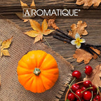 Aromatique Pumpkin Spice Potpourri – 7 oz Decorative Fragrance with Pumpkin, Vanilla & Maple – Long-Lasting Scented Botanicals for Fall Home Décor – Hand Made in The USA