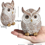 Owl Statue and Figurine for Home Decor Accents Adorable Owl for Shelf Bookshelf Bedroom Living Room Office Table Desk Modern Decorations Animal Sculpture for Birds Lovers