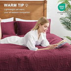Love's cabin King Size Quilt Bedding Set Burgundy Bedspreads - Bed Lightweight Bedspread Comforter - Coin Pattern Bedding Coverlet for All Season - 3 Pieces (1 Quilt, 2 Pillow Shams)