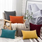 GAWAMAY Lumbar Pillow Decorative Rectangle Throw Pillow Covers 12"x20" Inch Set of 2, Super Soft Chenille Pillowcase for Living Room Bedroom Sofa Couch Cushion Cover Burnt Orange 30x50cm (ONLY COVERS)