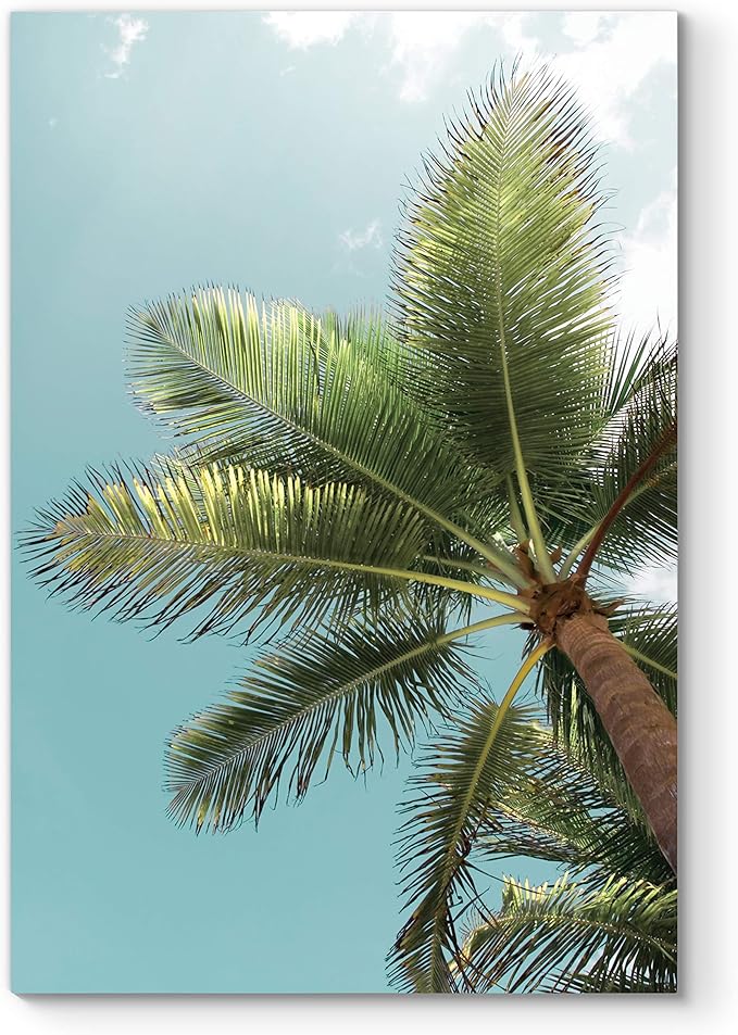 Renditions Gallery Canvas Nature Wall Art Home Paintings & Prints Palm Tree Sky View Glam Romantic Artwork Wall Hanging Decorations for Bedroom Living Room Office Kitchen - 12"x18" LT06