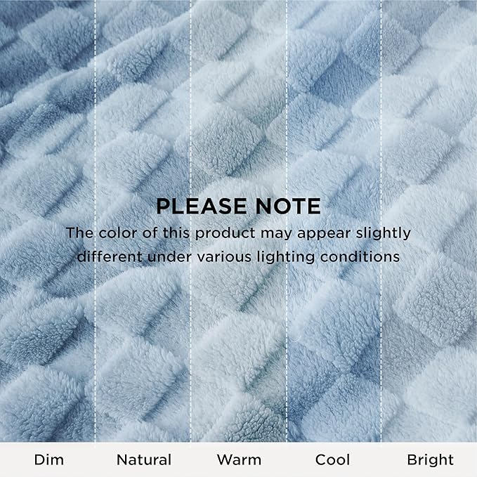 Bedsure GentleSoft Twin Blanket for Bed Light Blue - Super Soft Cozy Blankets for Women Men Girls, Cute Fuzzy Fleece Throws for Bedroom Couch, 60x80 Inches