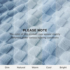 Bedsure GentleSoft Light Blue Throw Blanket for Couch - Checkered Fleece Blankets Gifts for Women Men Girls, Cute Soft Cozy Throw for Bedroom Home Decor Gifts, 50x60 Inches
