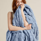 Bedsure GentleSoft Twin Blanket for Bed Ashley Blue - Super Soft Cozy Blankets for Women Men Girls, Cute Fuzzy Fleece Throws for Bedroom Couch, 60x80 Inches